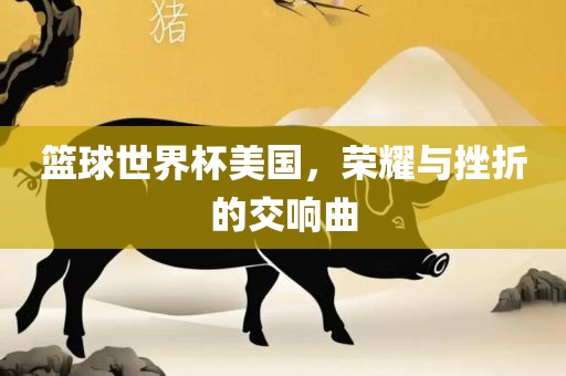 篮球世界杯美国，荣耀与挫折的交响曲漯河市盈旭机械设备有限公司