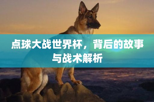 点球大战世界杯，背后的故事与战术解析