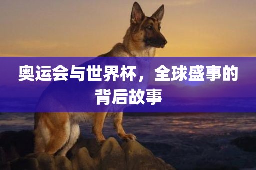 奥运会与世界杯，全球盛事的背后故事漯河市盈旭机械设备有限公司