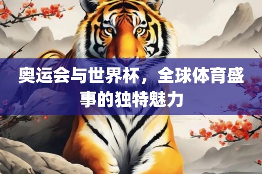 奥运会与世界杯，全球体育盛事的独特魅力