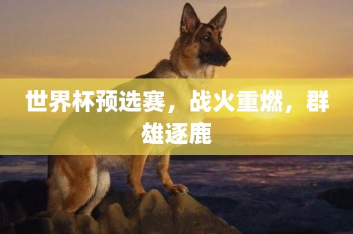 世界杯预选赛，战火重燃，群雄逐鹿漯河市盈旭机械设备有限公司