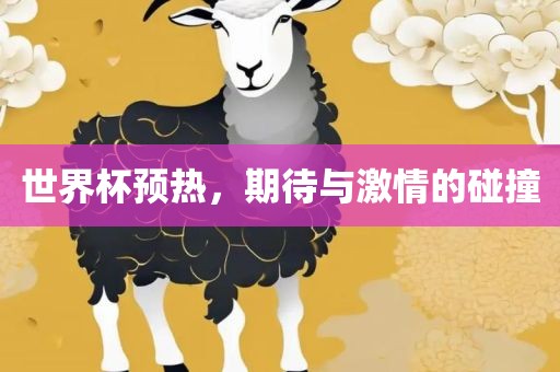 世界杯预热，期待与激情的碰撞