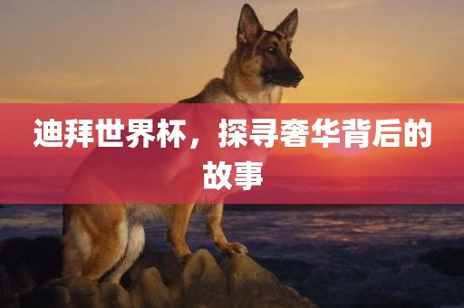 迪拜世界杯，探寻奢华背后的故漯河市盈旭机械设备有限公司事
