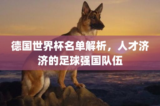 德国世界杯名单解析，人才济济的足球强国队伍