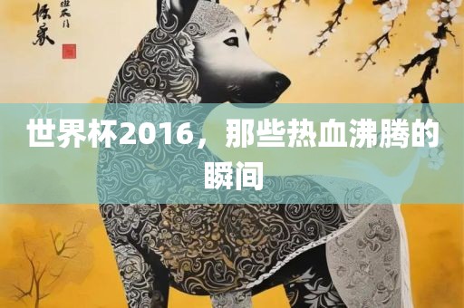 世界杯2016，那些热血沸腾的瞬间