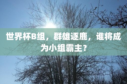 世界杯B组，群雄逐鹿，谁将成为小组霸主？
