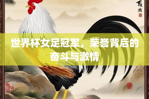 世界杯女足冠军，荣誉背后的奋斗与激情