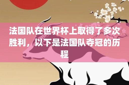 法国队在世界杯上取得了多次胜利，以下是法国队夺冠的历程漯河市盈旭机械设备有限公司