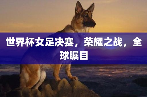 世界杯女足决赛，荣耀之战，全球瞩目