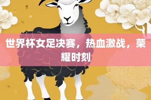 世界杯女足决赛，热血激战，荣耀时刻