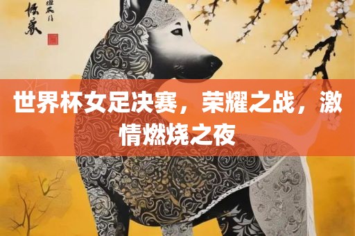 世界杯女足决赛，荣耀之战，激情燃烧之夜