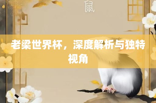 老梁世界杯，深度解析与独特视角