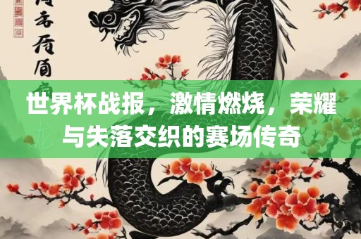 世界杯战报，激情燃烧，荣耀与失落交织的赛场传奇