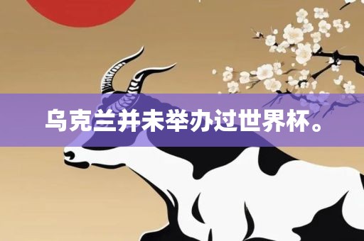 乌克兰并未举办过世界杯。漯河市盈旭机械设备有限公司
