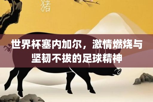 世界杯塞内加尔，激情燃烧与坚韧不拔的足球精神