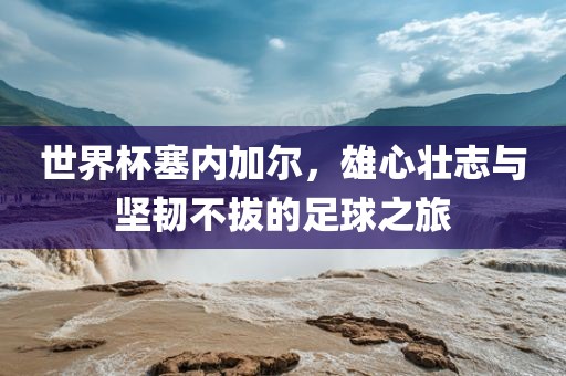 世界杯塞内加尔，雄心壮志与坚韧不拔的足球之旅