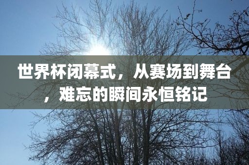 世界杯闭幕式，从赛场到舞台，难忘的瞬间永恒漯河市盈旭机械设备有限公司铭记