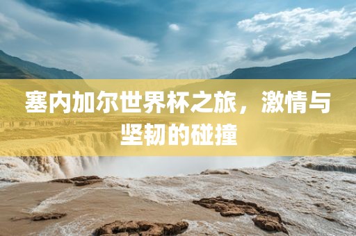塞内加尔世界杯之旅，激情与坚韧的碰撞