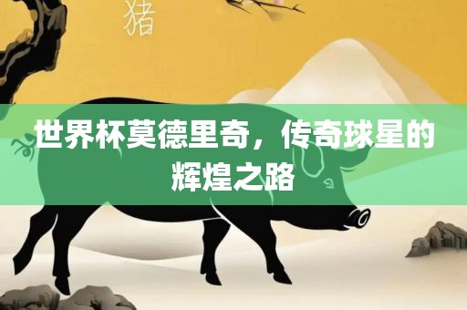 世界杯莫德里奇，传奇球星的辉煌之路