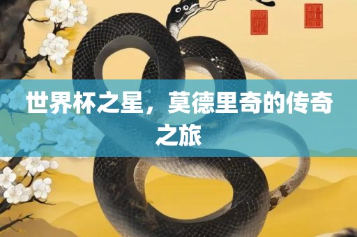 世界杯之星，莫德里奇的传奇之旅
