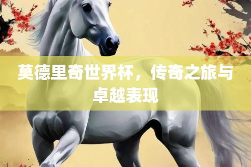 莫德里奇世界杯，传奇之旅与卓越表现
