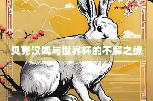 贝克汉姆与世界杯的不解之缘