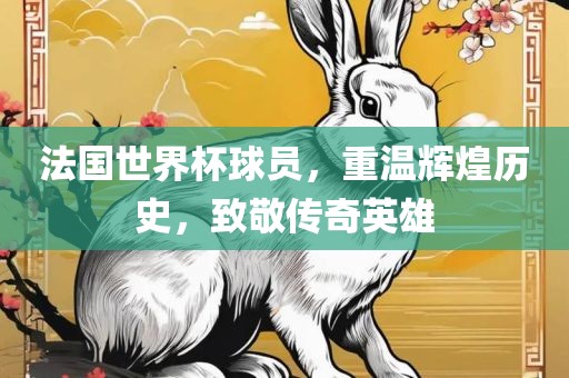 法国世界杯球员，重温辉煌历史，致敬传奇英雄