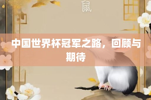 中国世界杯冠军之路，回顾与期待漯河市盈旭机械设备有限公司