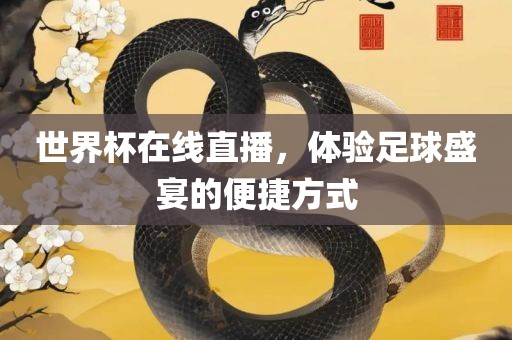 世界杯在线直播，体验足球盛宴的便捷方式