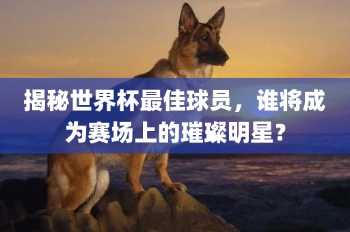 揭秘世界杯最佳球员，谁将成为赛场上的璀璨明星？