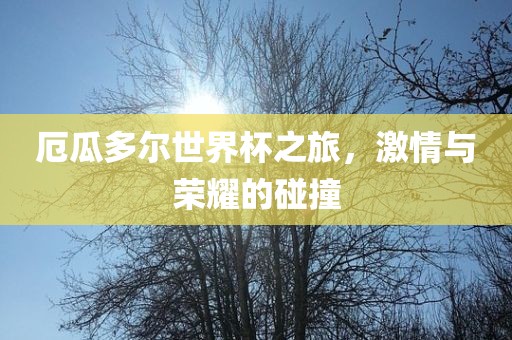 厄瓜多尔世界杯之旅，激情与荣耀的碰撞