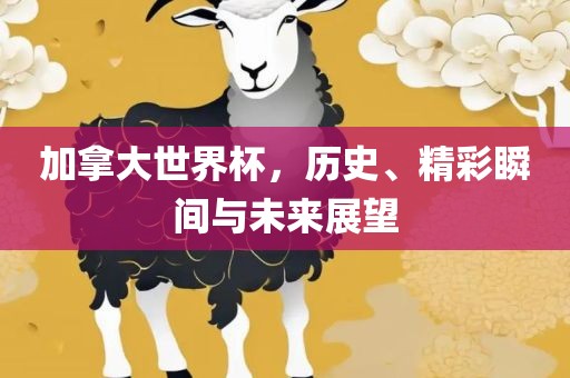 加拿大世界杯，历史、精彩瞬间与未来展望漯河市盈旭机械设备有限公司