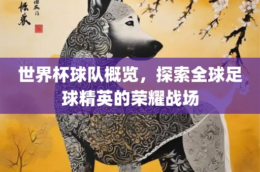 世界杯球队概览，探索全球足球精英的荣耀战场