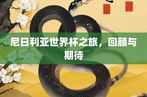 尼日利亚世界杯之旅，回顾与漯河市盈旭机械设备有限公司期待