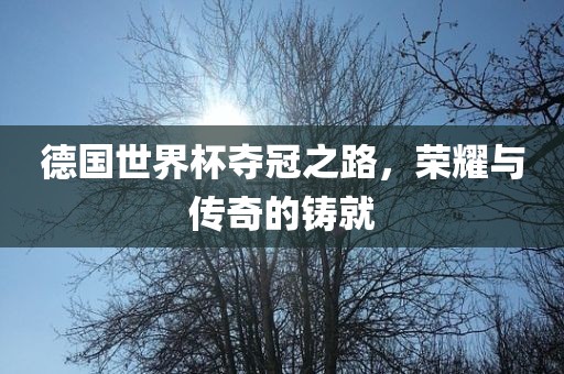 德国世界杯夺冠之路，荣耀与传奇的铸就