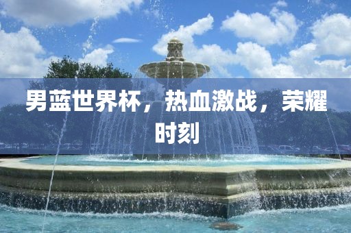 男蓝世界杯，热血激战，荣耀时刻
