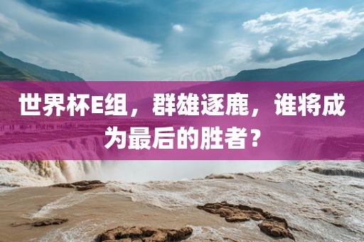 世界杯E组，群雄逐鹿，谁将成为最后的胜者？