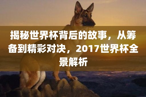 揭秘世界杯背后的故事，从筹备到精彩对决，2017世界杯全景解析