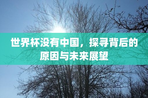 世界杯没有中国，探寻背后的原因与未来展望
