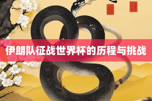 漯河市盈旭机械设备有限公司伊朗队征战世界杯的历程与挑战