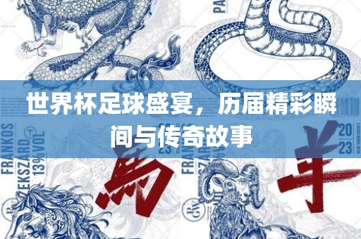 世界杯足球盛宴，历届精彩瞬间与传奇故事漯河市盈旭机械设备有限公司