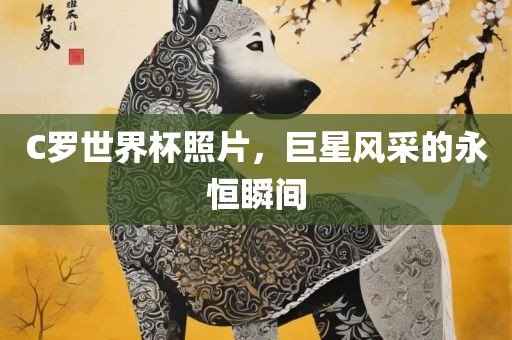 C罗世界杯照片，巨星风采的永恒瞬间