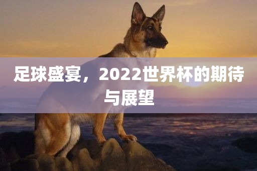 足球盛宴，2022世界杯的期待与展望