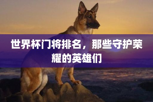 世界杯门将排名，那些守护荣耀的英雄们
