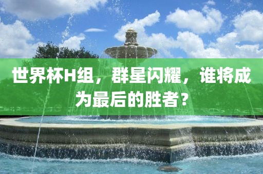 世界杯H组，群星闪耀，谁将成为最后的胜者？