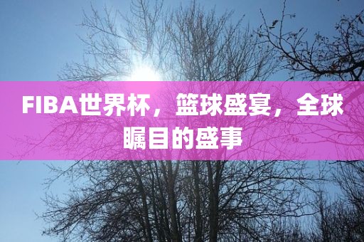 FIBA世界杯，篮球盛宴，全球瞩目的盛事漯河市盈旭机械设备有限公司