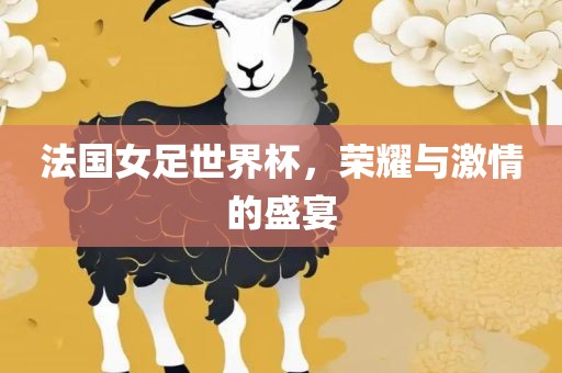 法国女足世界杯，荣耀与激情的盛宴