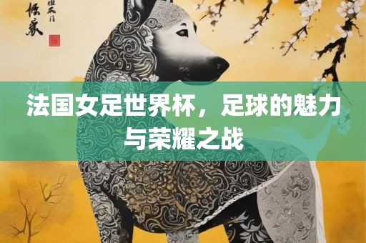 法国女足世界杯，足球的魅力与荣耀之战