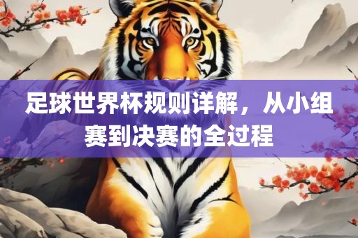足球世界杯规则详解，从小组赛到决赛的全过程漯河市盈旭机械设备有限公司