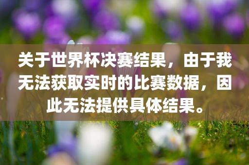 关于世界杯决赛结果，由于我无法获取实时的比赛数据，因此无法提供具体结果。漯河市盈旭机械设备有限公司